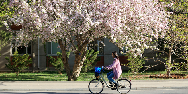 恒峰g22 - 官方网站 -- 天天有惊喜