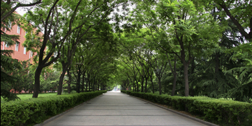 恒峰g22 - 官方网站 -- 天天有惊喜