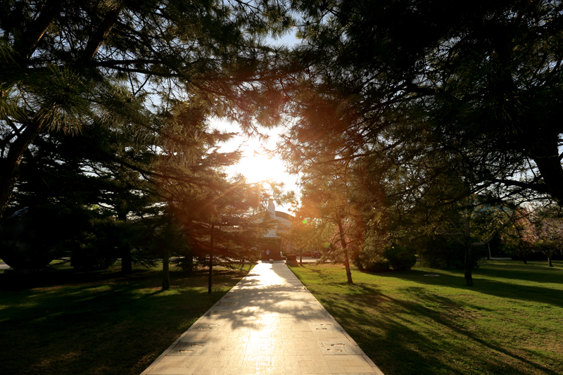 恒峰g22 - 官方网站 -- 天天有惊喜