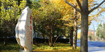 恒峰g22 - 官方网站 -- 天天有惊喜