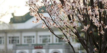 恒峰g22 - 官方网站 -- 天天有惊喜