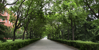 恒峰g22 - 官方网站 -- 天天有惊喜