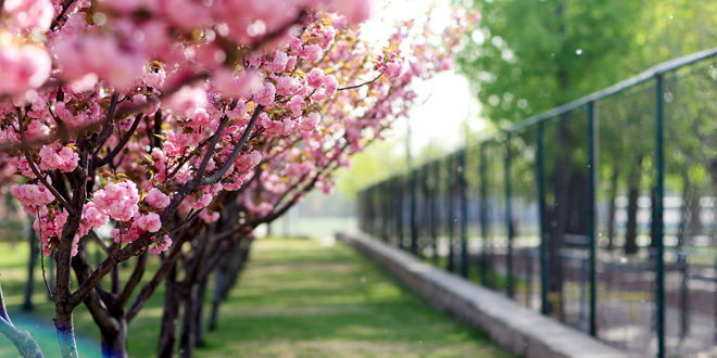 恒峰g22 - 官方网站 -- 天天有惊喜