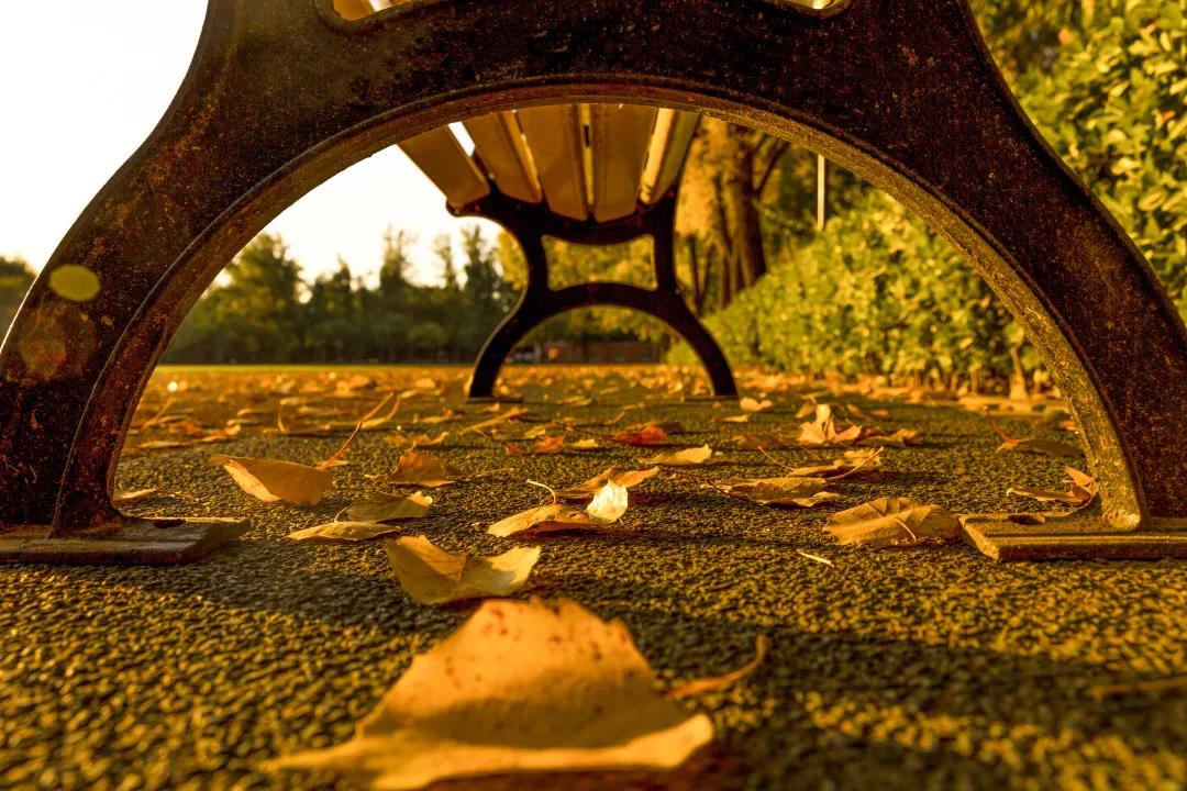 恒峰g22 - 官方网站 -- 天天有惊喜