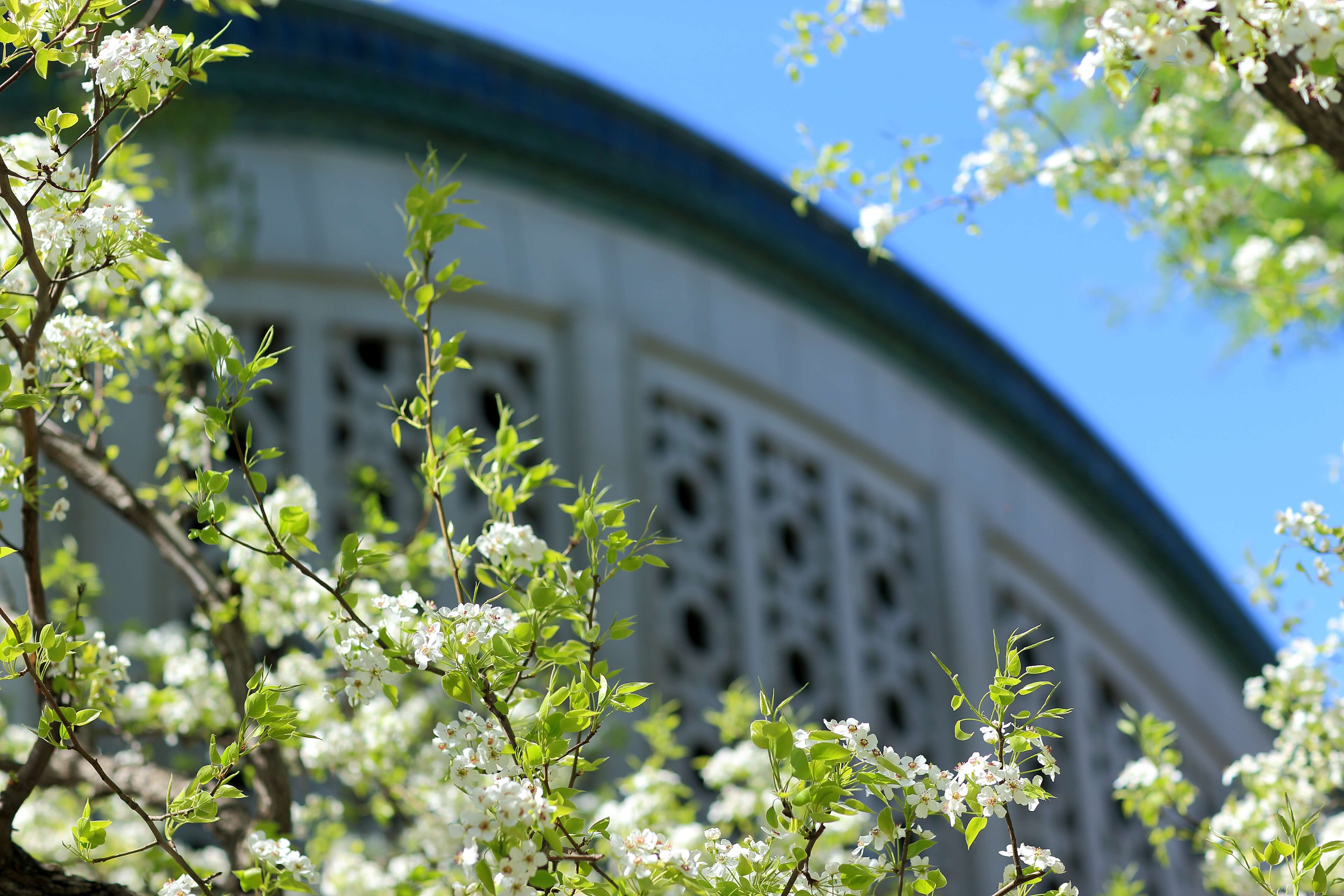 恒峰g22 - 官方网站 -- 天天有惊喜