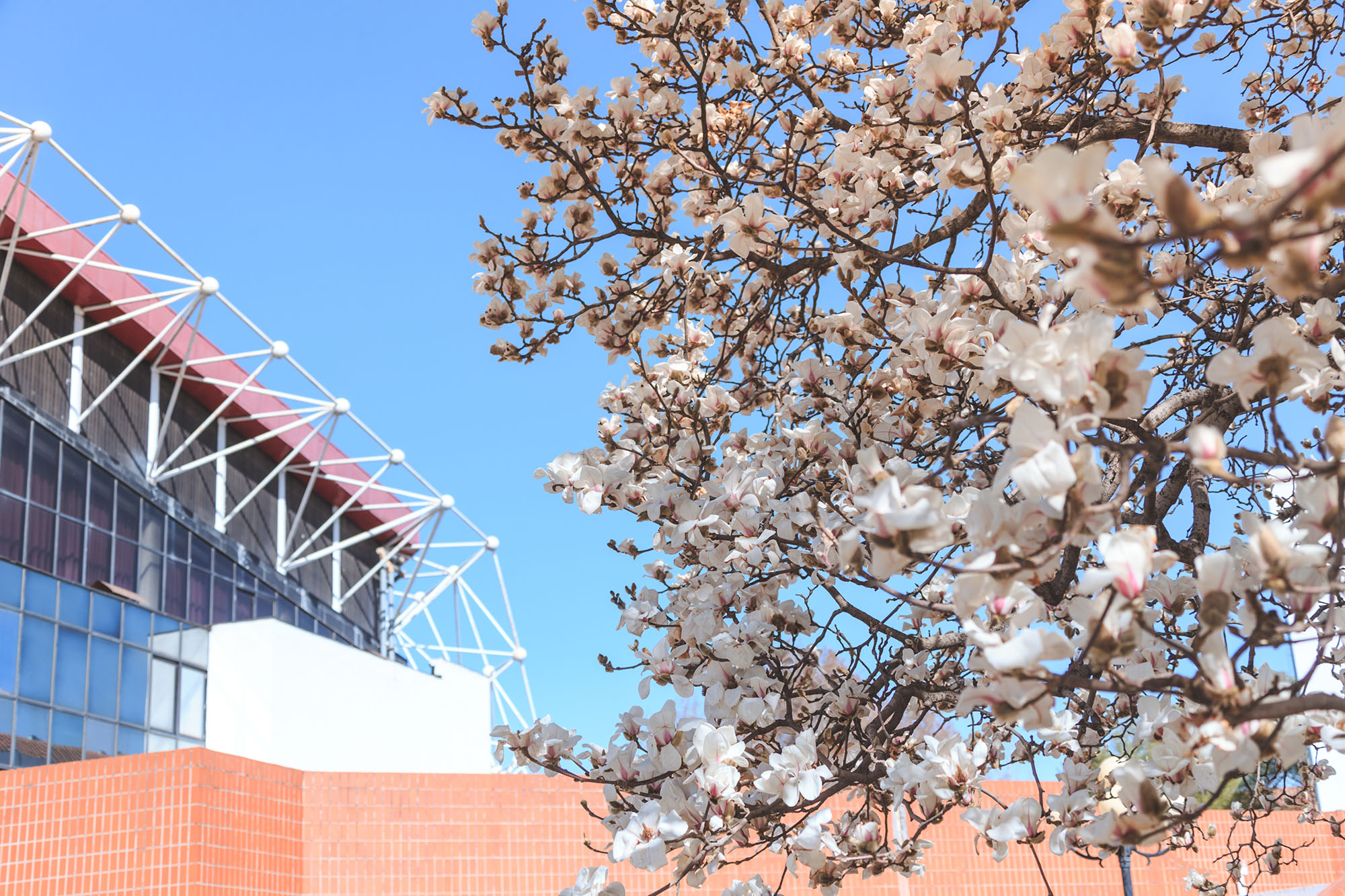 恒峰g22 - 官方网站 -- 天天有惊喜