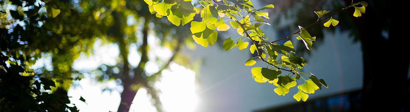 恒峰g22 - 官方网站 -- 天天有惊喜